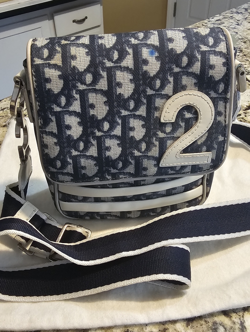 Dior Trotter Pouch
